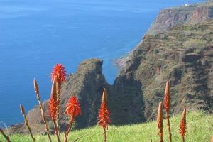 Madeira landschap - Auto huren Madeira